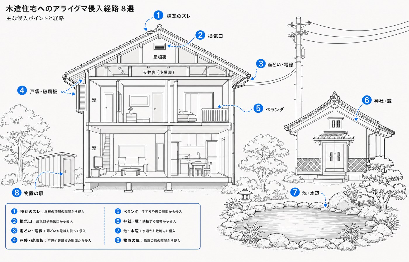 アライグマが家屋に侵入する主な経路を示す断面図インフォグラフィック