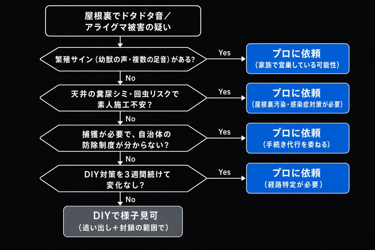 アライグマ被害でDIYかプロ依頼かを判断する4ステップのフローチャート