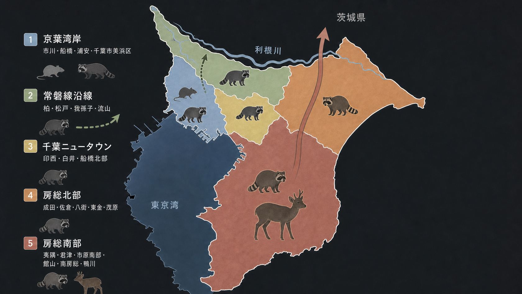 千葉県の害獣分布マップ。京葉湾岸、常磐線沿線、千葉ニュータウン、房総北部、房総南部のエリア別に多い害獣を色分けで示したイラストレーション。