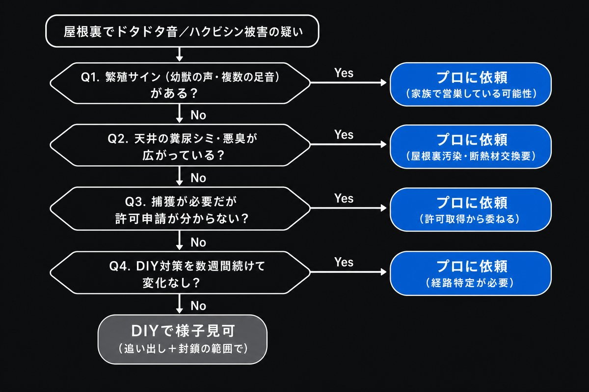 ハクビシン被害でDIYかプロ依頼かを判断する4ステップのフローチャート