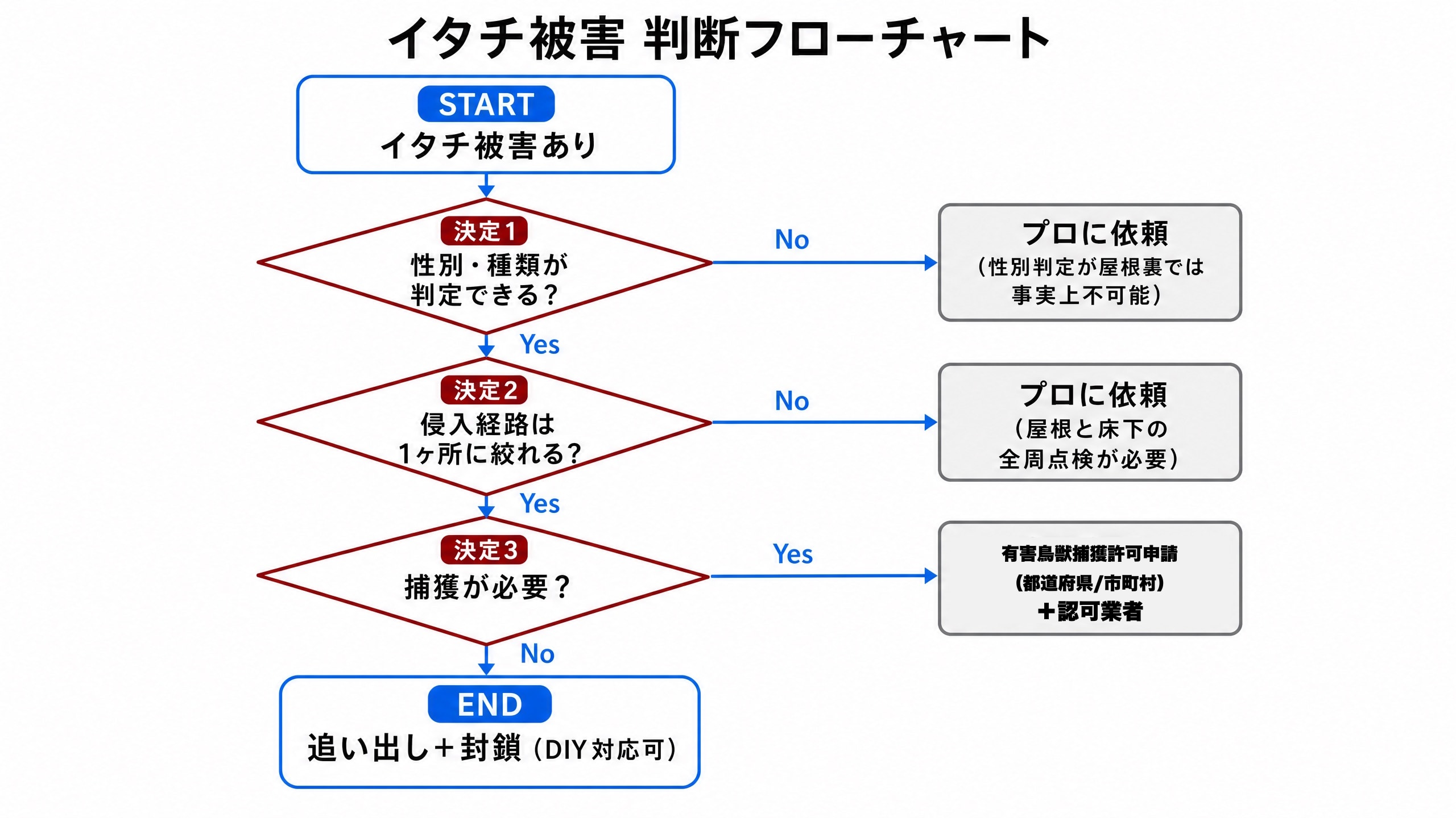 イタチ被害でDIYかプロ依頼かを判断する4ステップのフローチャート。性別判定・侵入経路特定・捕獲許可の有無が分岐ゲートに入る。