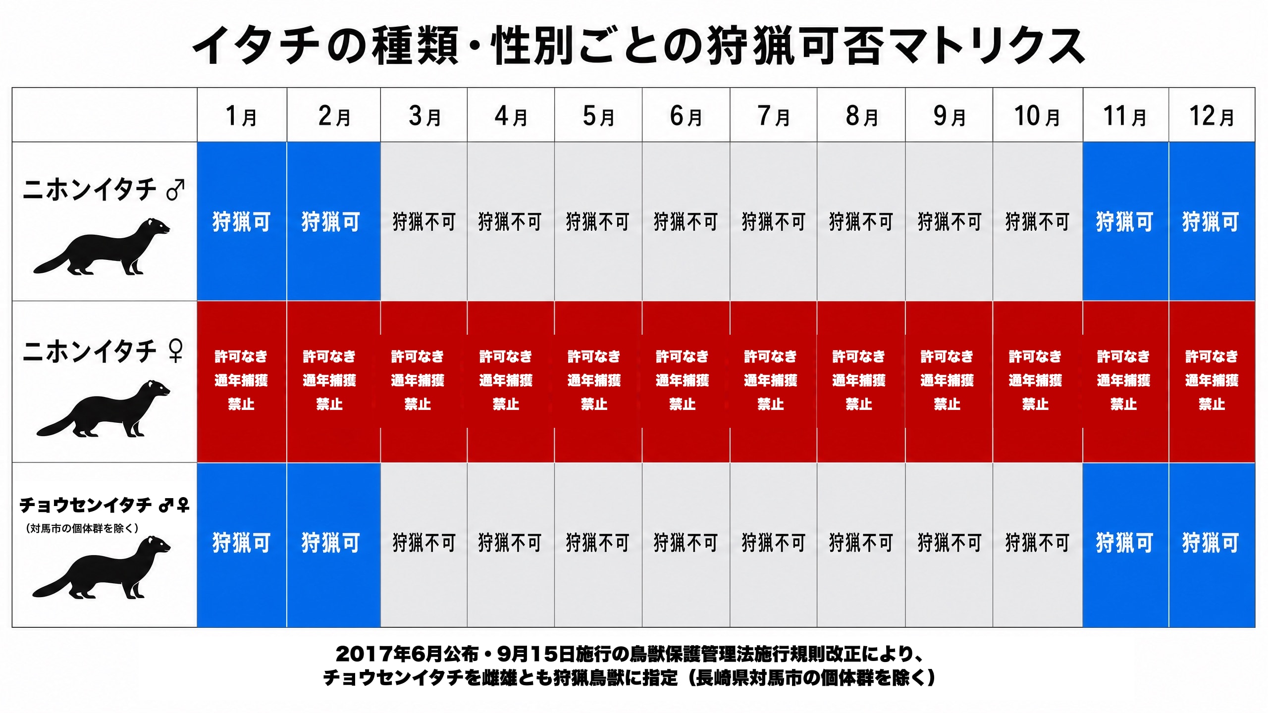 ニホンイタチオス・ニホンイタチメス・チョウセンイタチの3区分について、狩猟可否と期間を整理したマトリクス図。ニホンイタチオスとチョウセンイタチは狩猟期間内であれば狩猟可、ニホンイタチメスは通年で捕獲・殺傷禁止。