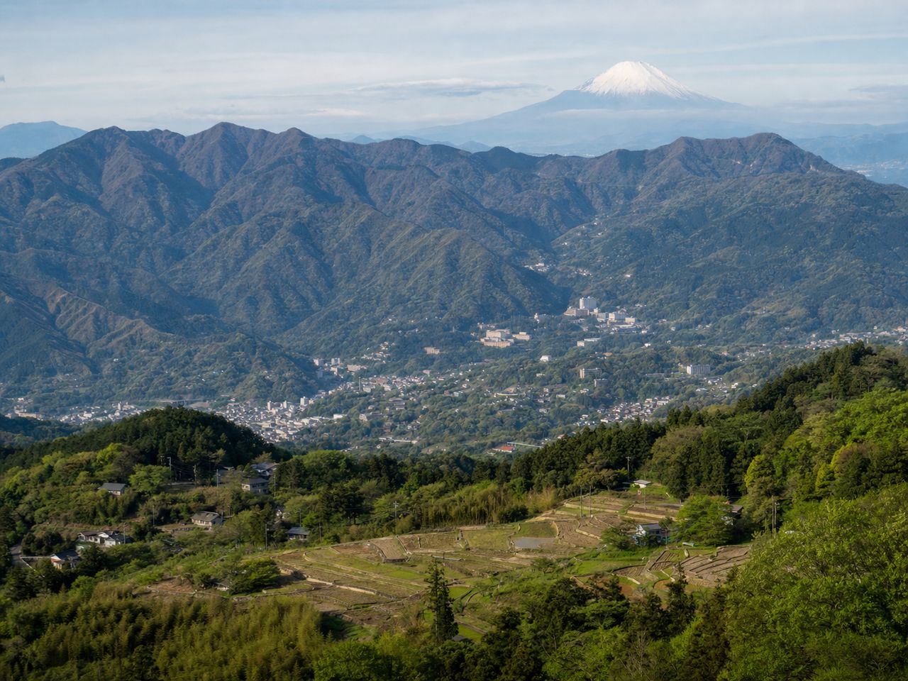 丹沢山系・箱根の山間部風景。深い森林と温泉街、山あいの集落が見える俯瞰写真。