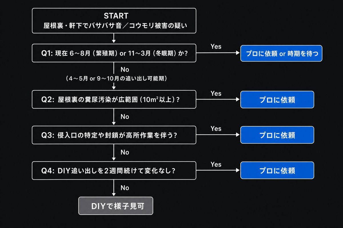 コウモリ被害でDIYかプロ依頼かを判断する4ステップのフローチャート。時期制限の判定が最初のゲートに入る。