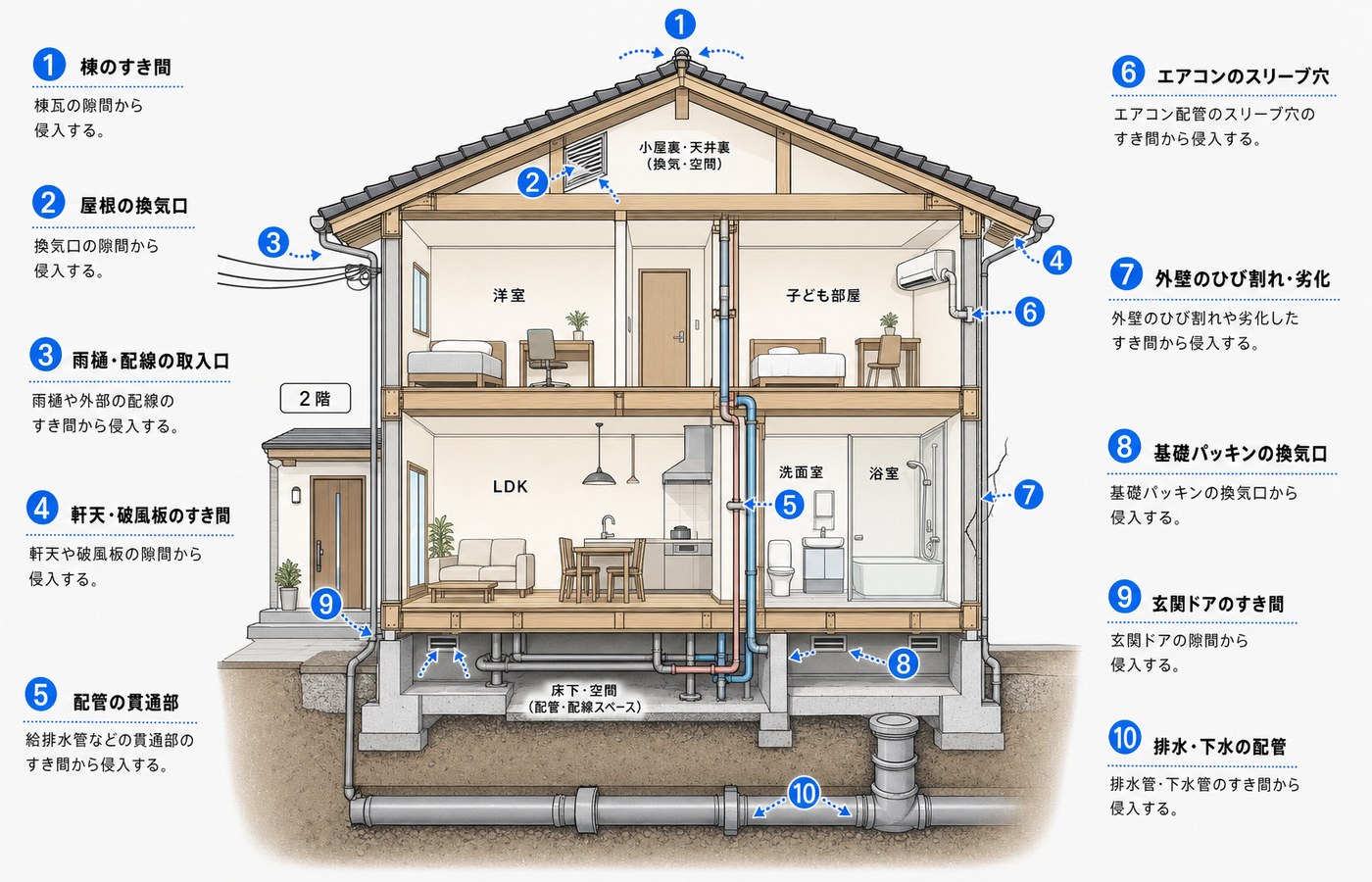 ネズミが家屋に侵入する10箇所の経路を示す断面図インフォグラフィック