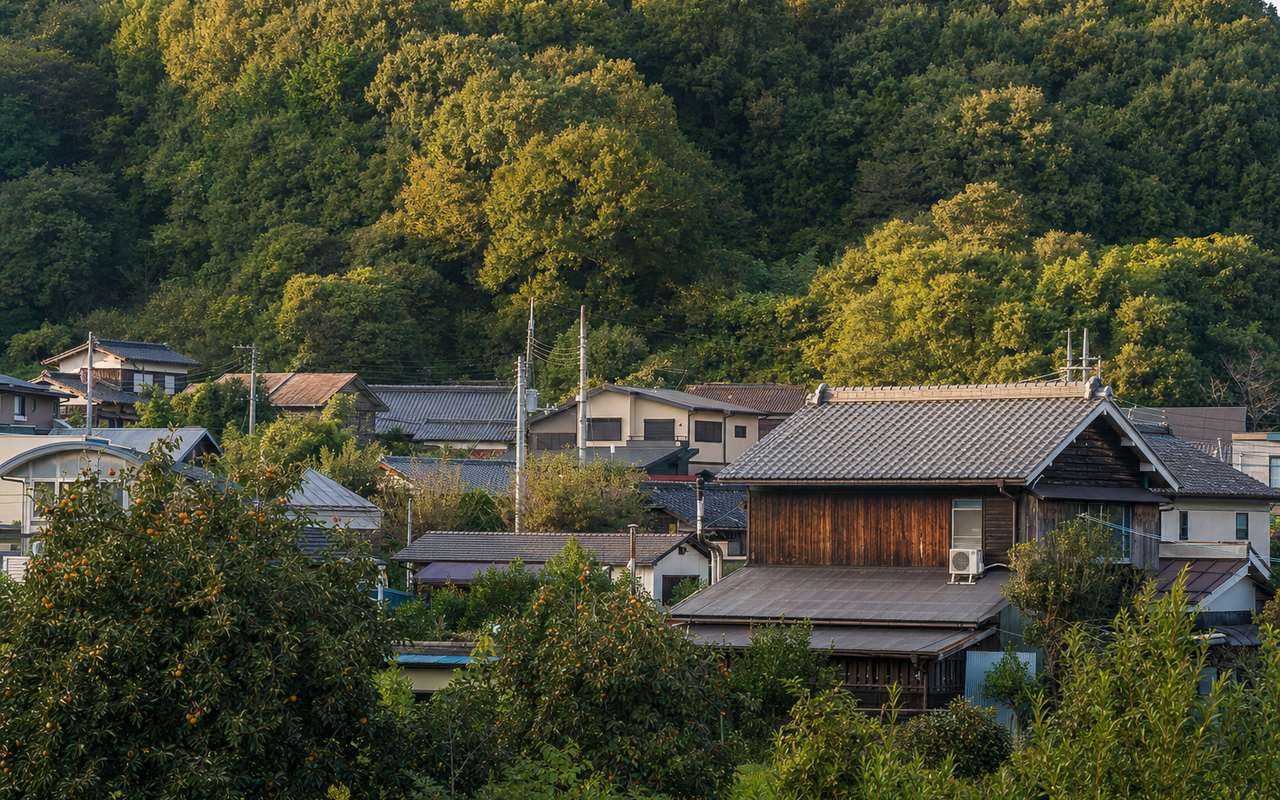 所沢・狭山の狭山丘陵周辺。雑木林と接続する古い木造戸建てが点在する里山住宅地の写真。