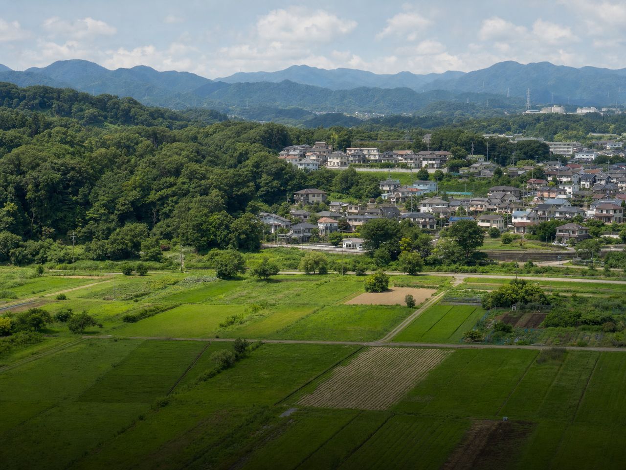多摩境界エリア。八王子・町田の自然と住宅地が混在する地域の風景写真。